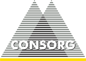 Consorg